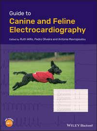 Guide to Canine and Feline Electrocardiography, Ruth  Willis аудиокнига. ISDN39840632