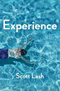 Experience. New Foundations for the Human Sciences, Scott  Lash audiobook. ISDN39842200
