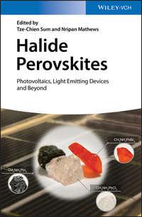 Halide Perovskites. Photovoltaics, Light Emitting Devices, and Beyond - Nripan Mathews