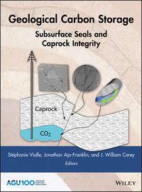 Geological Carbon Storage. Subsurface Seals and Caprock Integrity, Jonathan  Ajo-Franklin audiobook. ISDN39842424