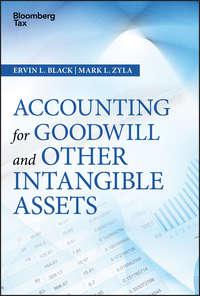 Accounting for Goodwill and Other Intangible Assets,  audiobook. ISDN39842856