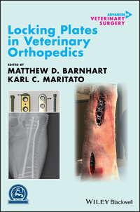 Locking Plates in Veterinary Orthopedics,  аудиокнига. ISDN39843136