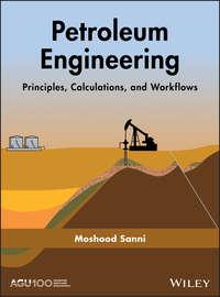 Petroleum Engineering: Principles, Calculations, and Workflows, Moshood  Sanni аудиокнига. ISDN39843160