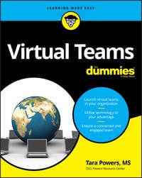 Virtual Teams For Dummies,  książka audio. ISDN39843232