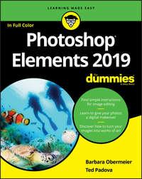 Photoshop Elements 2019 For Dummies - Barbara Obermeier
