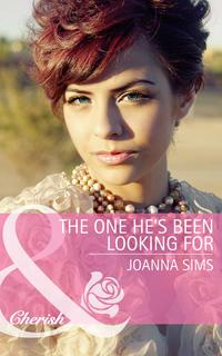 The One Hes Been Looking For - Joanna Sims