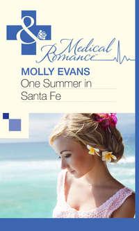 One Summer In Santa Fe, Molly  Evans audiobook. ISDN39870280