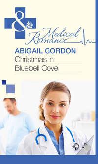 Christmas In Bluebell Cove - Abigail Gordon