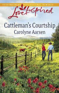 Cattleman′s Courtship, Carolyne  Aarsen audiobook. ISDN39877272