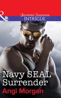 Navy SEAL Surrender, Angi  Morgan audiobook. ISDN39879552
