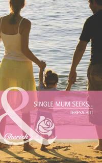 Single Mum Seeks…, Teresa  Hill audiobook. ISDN39880520