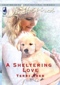 A Sheltering Love - Terri Reed