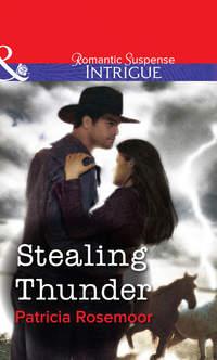 Stealing Thunder, Patricia  Rosemoor audiobook. ISDN39885640