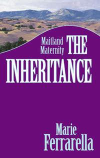 The Inheritance, Marie  Ferrarella аудиокнига. ISDN39885992