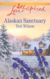 Alaskan Sanctuary, Teri  Wilson audiobook. ISDN39888776