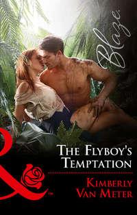 The Flyboy′s Temptation - Kimberly Meter