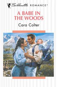 A Babe In The Woods, Cara  Colter аудиокнига. ISDN39891840