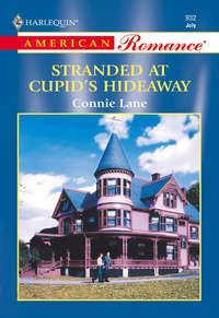 Stranded At Cupid′s Hideaway, Connie  Lane аудиокнига. ISDN39893842
