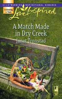 A Match Made in Dry Creek, Janet  Tronstad аудиокнига. ISDN39895154
