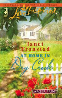 At Home in Dry Creek, Janet  Tronstad аудиокнига. ISDN39895362