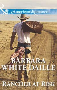 Rancher at Risk - Barbara Daille