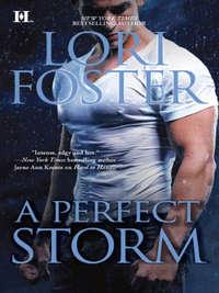 A Perfect Storm, Lori Foster аудиокнига. ISDN39904410