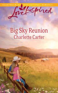 Big Sky Reunion, Charlotte  Carter аудиокнига. ISDN39904922