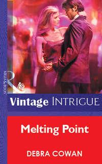 Melting Point, Debra  Cowan audiobook. ISDN39908234