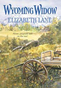 Wyoming Widow - Elizabeth Lane