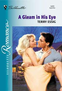 A Gleam In His Eye, Terry  Essig audiobook. ISDN39914674