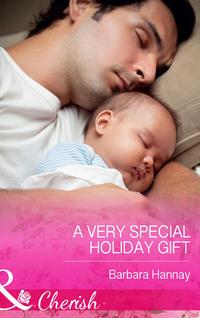 A Very Special Holiday Gift - Barbara Hannay