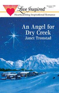 An Angel for Dry Creek - Janet Tronstad