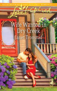 Wife Wanted in Dry Creek, Janet  Tronstad аудиокнига. ISDN39920346