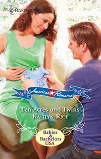 Ten Acres And Twins, Kaitlyn  Rice аудиокнига. ISDN39923626