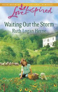 Waiting Out the Storm - Ruth Herne