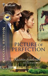 Picture Of Perfection, Kristin  Gabriel аудиокнига. ISDN39928394