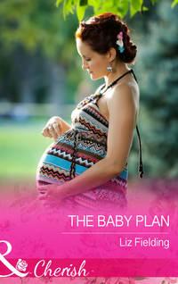 The Baby Plan, Liz  Fielding audiobook. ISDN39929802