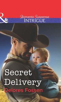 Secret Delivery, Delores  Fossen audiobook. ISDN39933970