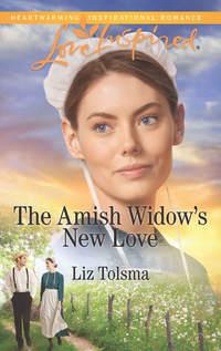 The Amish Widow′s New Love, Liz  Tolsma audiobook. ISDN39937914