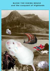 Bleiki The Viking Mouse And The Conquest Of Highlands, Fabio  Pozzoni audiobook. ISDN40208327