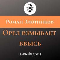 Орел взмывает ввысь, audiobook Романа Злотникова. ISDN40501127