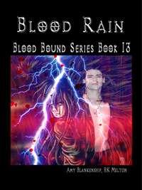 Blood Rain, Amy Blankenship audiobook. ISDN40850117