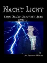 Nacht Licht, Amy Blankenship książka audio. ISDN40850885