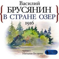В стране озёр, audiobook Василия Брусянина. ISDN42132810