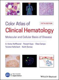 Color Atlas of Clinical Hematology. Molecular and Cellular Basis of Disease, Elias  Campo аудиокнига. ISDN42166051