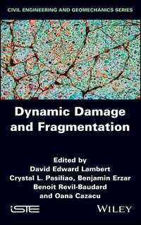 Dynamic Damage and Fragmentation, Oana  Cazacu аудиокнига. ISDN42166643
