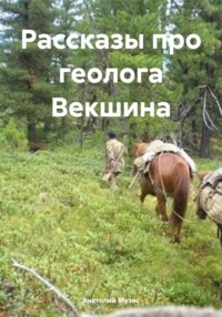 Рассказы про геолога Векшина - Анатолий Музис