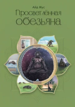 Просветлённая обезьяна, аудиокнига Айда Мус. ISDN42223717