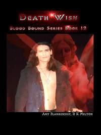Death Wish , Amy Blankenship audiobook. ISDN42351195