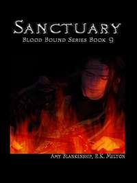 Sanctuary , Amy Blankenship аудиокнига. ISDN42351243